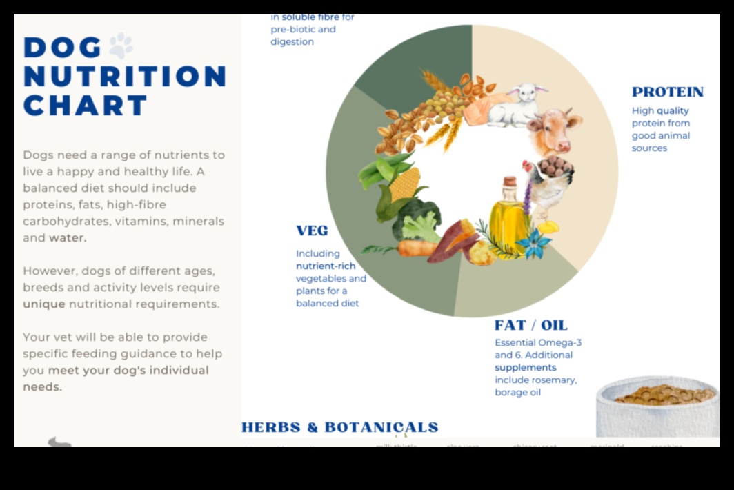 The Doggy Diet: Nutrition Essentials για ένα υγιές κουτάβι