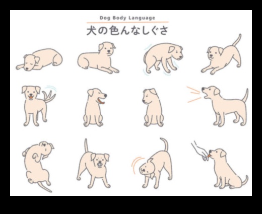 From Tail Wags to Barks: Decoding Dog Communication