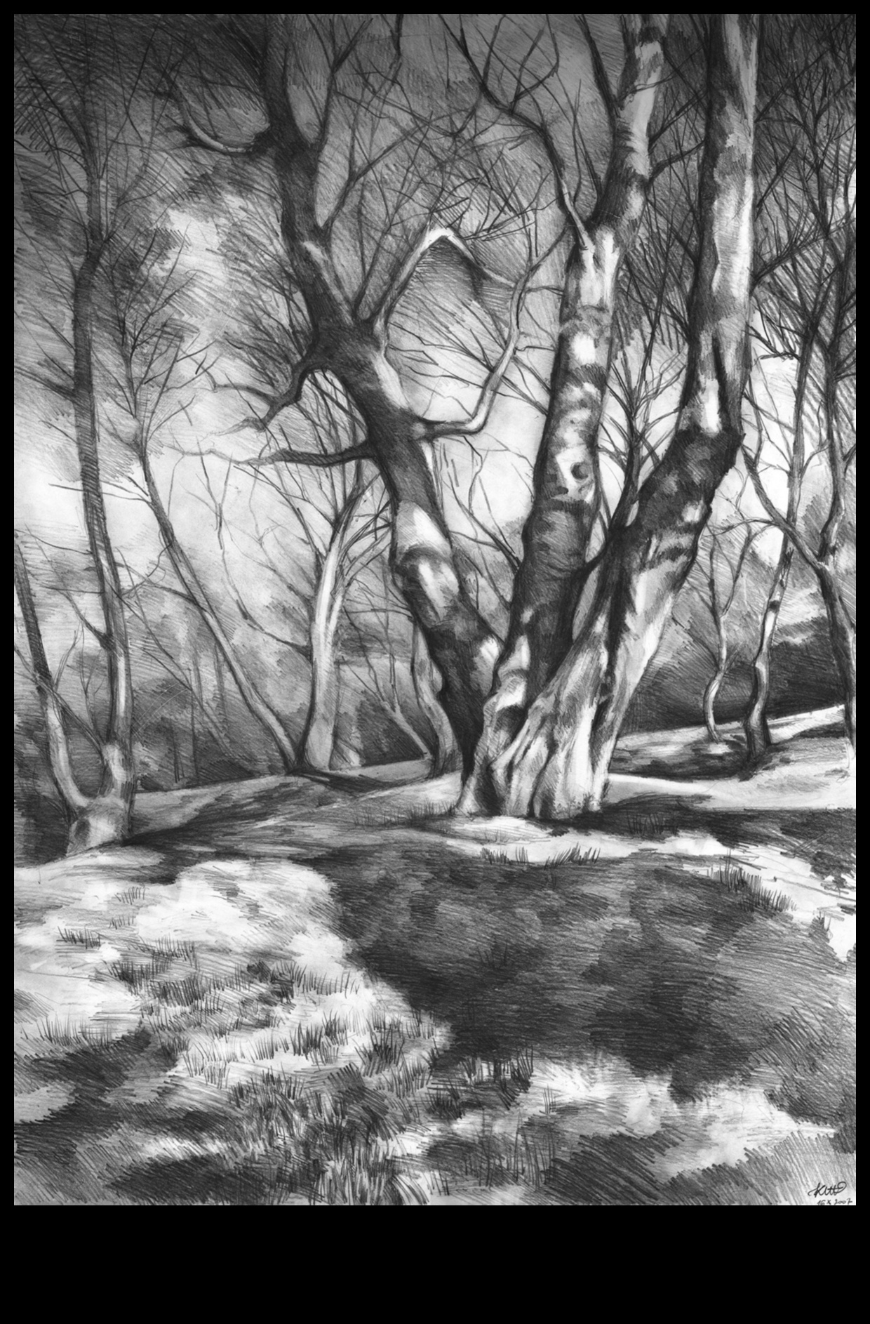 Σχεδιάζοντας τη φύση με μολύβι: Τεχνικές για ρεαλιστική χλωρίδα και πανίδα στον γραφίτη