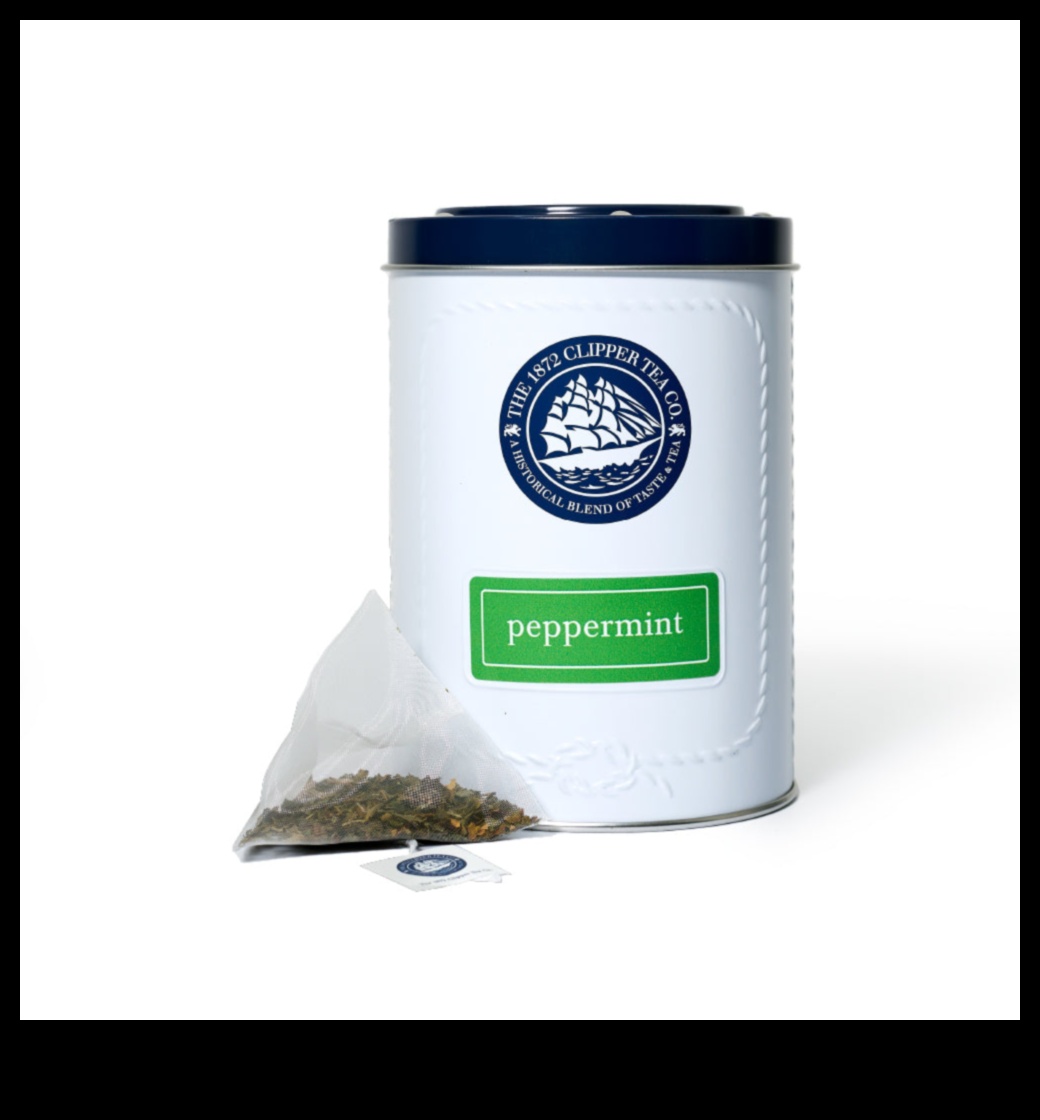 Δροσιστικά αφεψήματα μέντας: Ανεβάστε τη γουλιά σας με ελιξίρια μέντας