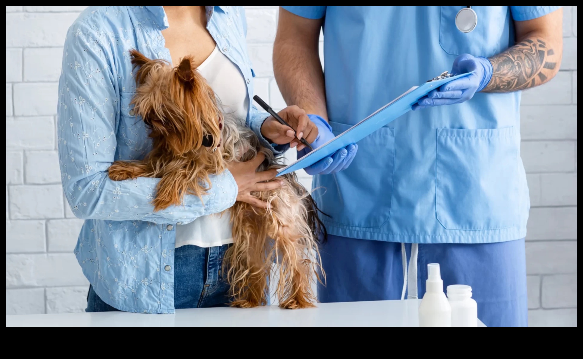 Πλοήγηση στην ασφάλιση υγείας σκύλων: Ένας ολοκληρωμένος οδηγός