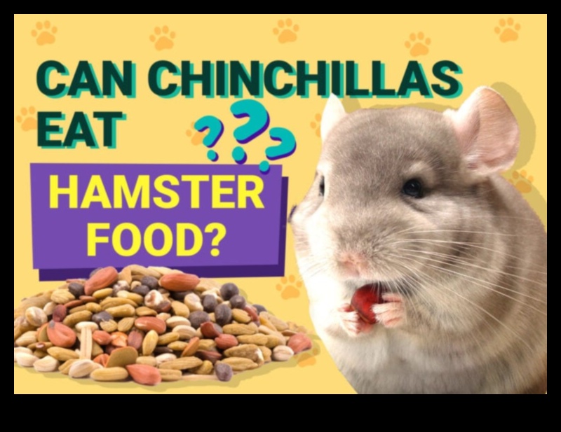 Διλήμματα διατροφής χάμστερ: Κοινές παρανοήσεις και μύθοι για τη διατροφή