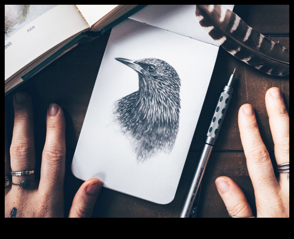 Σχέδιο με ακρίβεια: λεπτές λεπτομέρειες σε γραφίτη