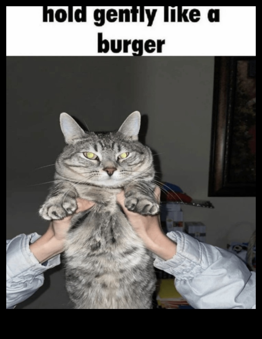 Cat-astrophic Laughs: Ξεκαρδιστικά Memes και Στιγμές γάτας