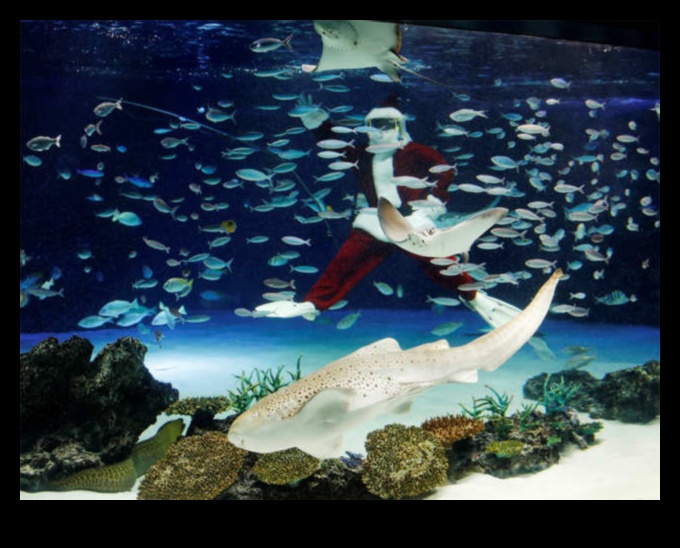 Συνεχίζονται οι γιορτές σε δεξαμενή ψαριών: Διοργάνωση υποβρύχιων εορτασμών