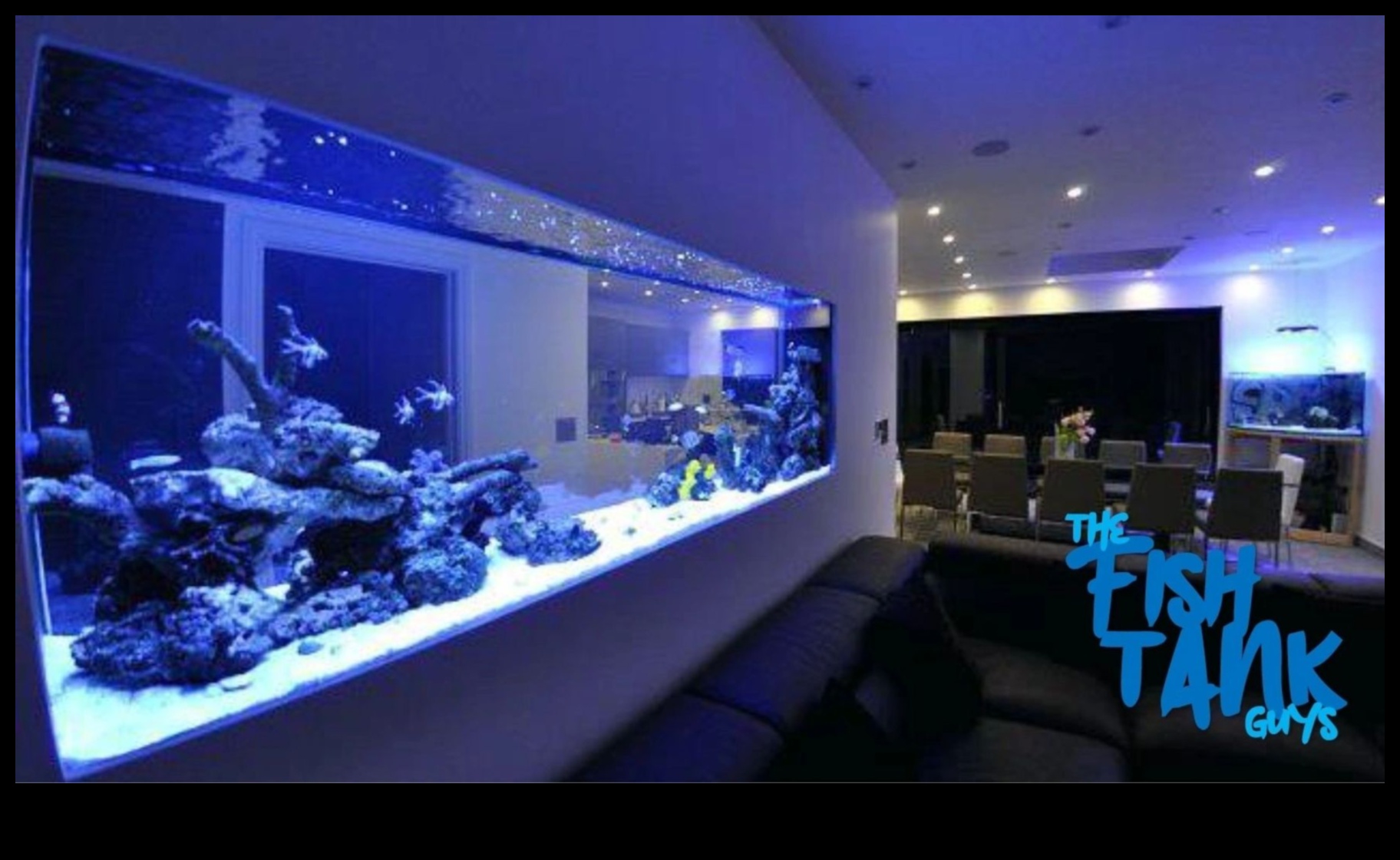 Fish Tank Zen: Δημιουργώντας μια χαλαρωτική υποβρύχια όαση στο σπίτι