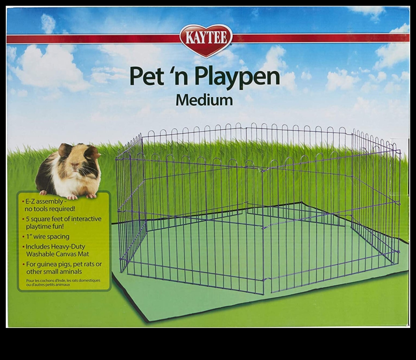 Pocket Pet Playtime: Διαδραστική διασκέδαση για μικρά ζώα