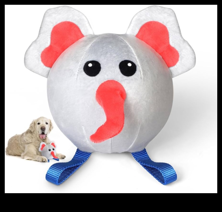 Pocket Pet Playtime: Διαδραστική διασκέδαση για μικρά ζώα