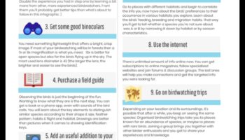 Birding for Beginners: Βασικές συμβουλές για νέους παρατηρητές πουλιών
