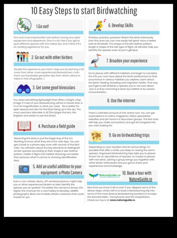 Birding for Beginners: Βασικές συμβουλές για νέους παρατηρητές πουλιών