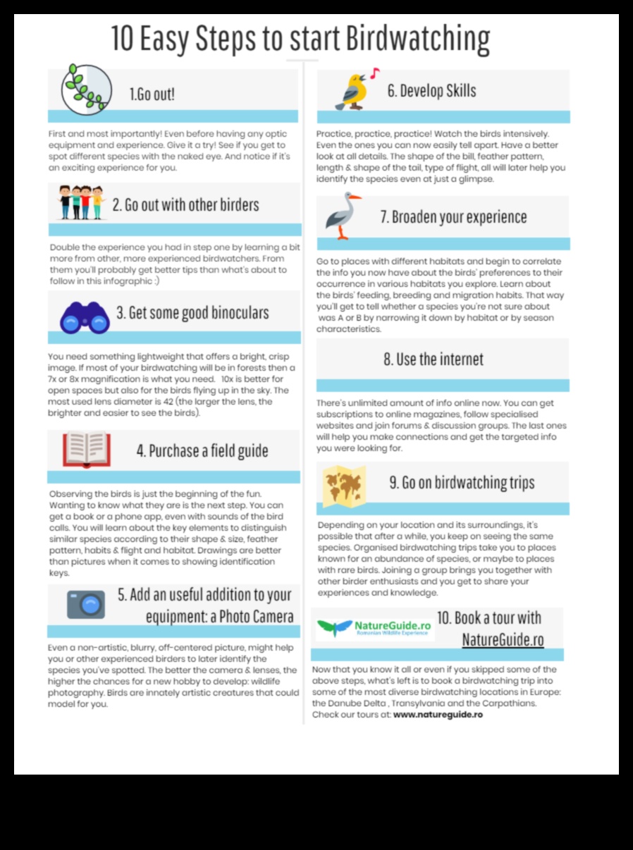 Birding for Beginners Βασικές συμβουλές για νέους παρατηρητές πουλιών 2 Birding for Beginners: Βασικές συμβουλές για νέους παρατηρητές πουλιών