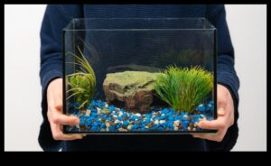 Fish Tank DIY Continue: Ανακύκλωση και ανακύκλωση στη διακόσμηση του ενυδρείου