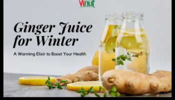 Ginger Trends: Εξερευνώντας τα πιο πρόσφατα και τα καλύτερα στην υγιεινή ενυδάτωση