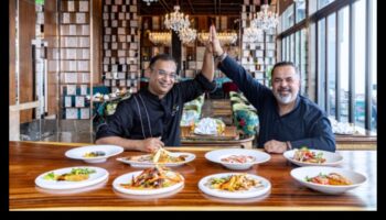 Home Chef's Symphony: Harmonizing Flavors in Familiar Spaces