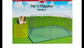 Pocket Pet Playtime: Διαδραστική διασκέδαση για μικρά ζώα