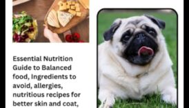 The Doggy Diet: Nutrition Essentials για ένα υγιές κουτάβι