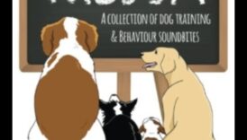 Woof Wisdom: Τεχνικές εκπαίδευσης σκύλων πλοήγησης