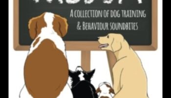 Woof Wisdom: Τεχνικές εκπαίδευσης σκύλων πλοήγησης