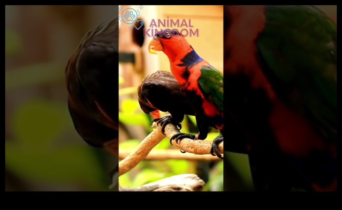 Feathered Friends' Fiesta: Celebrating with Pet Birds