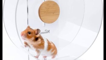 Ασφάλεια τροχού χάμστερ Συνέχεια: Μηχανισμοί περιστροφής εξισορρόπησης