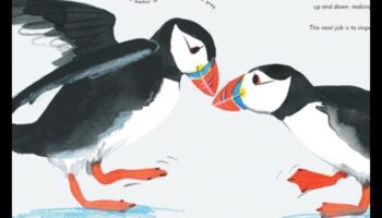 Φτερωτοί φίλοι Συνέχεια: Μοναδικές Συμπεριφορές Δέσμευσης Μεταξύ Πτηνών