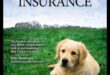 Πλοήγηση στην ασφάλιση υγείας σκύλων: Ένας ολοκληρωμένος οδηγός