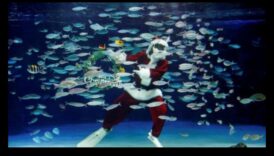 Συνεχίζονται οι γιορτές σε δεξαμενή ψαριών: Διοργάνωση υποβρύχιων εορτασμών