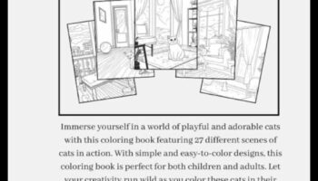 Kitty Kingdom: Δημιουργία ενός ασφαλούς και διεγερτικού εσωτερικού περιβάλλοντος