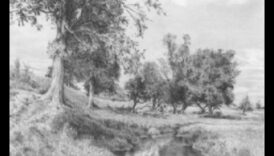 Σχεδιάζοντας τη φύση με μολύβι: Τεχνικές για ρεαλιστική χλωρίδα και πανίδα στον γραφίτη