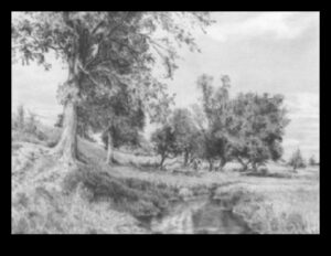 Σχεδιάζοντας τη φύση με μολύβι: Τεχνικές για ρεαλιστική χλωρίδα και πανίδα στον γραφίτη