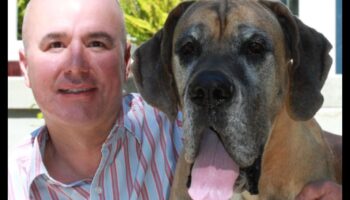 Canine Caregivers: Celebrating the Unsung Heroes in Dog Ownership