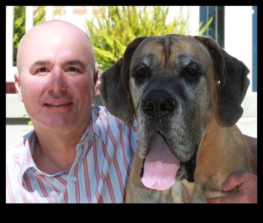 Canine Caregivers: Celebrating the Unsung Heroes in Dog Ownership