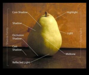 Φως και Σκιές: Παίζοντας με την αντίθεση στη νεκρή φύση