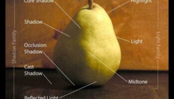 Φως και Σκιές: Παίζοντας με την αντίθεση στη νεκρή φύση